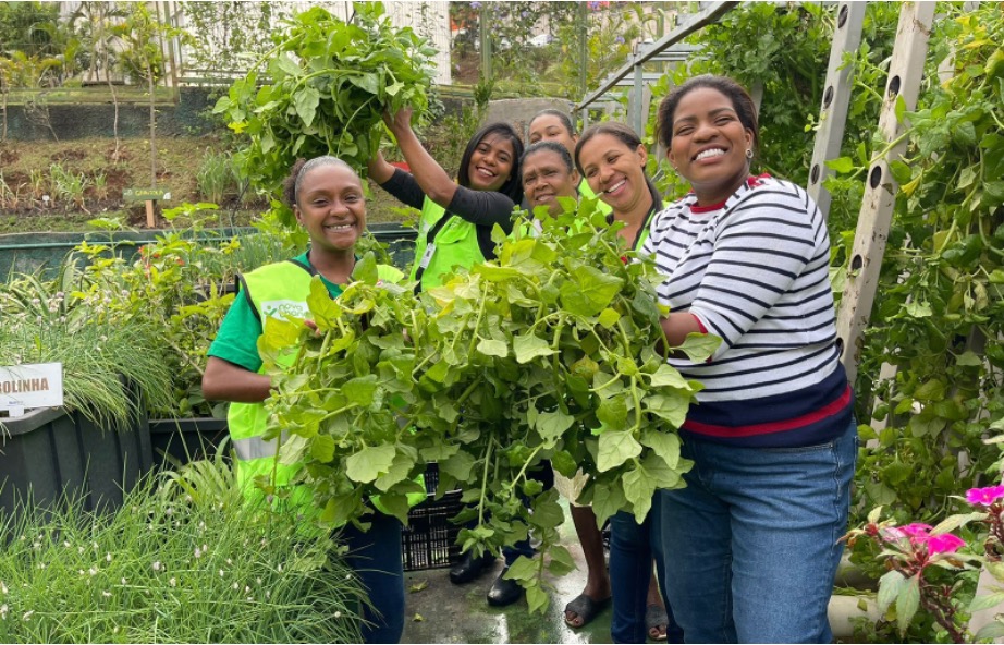 Agrofavela refazenda Stop Hunger.jpg