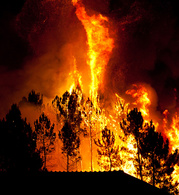 L’urgence face aux incendies de forêt dans le centre du Chili.