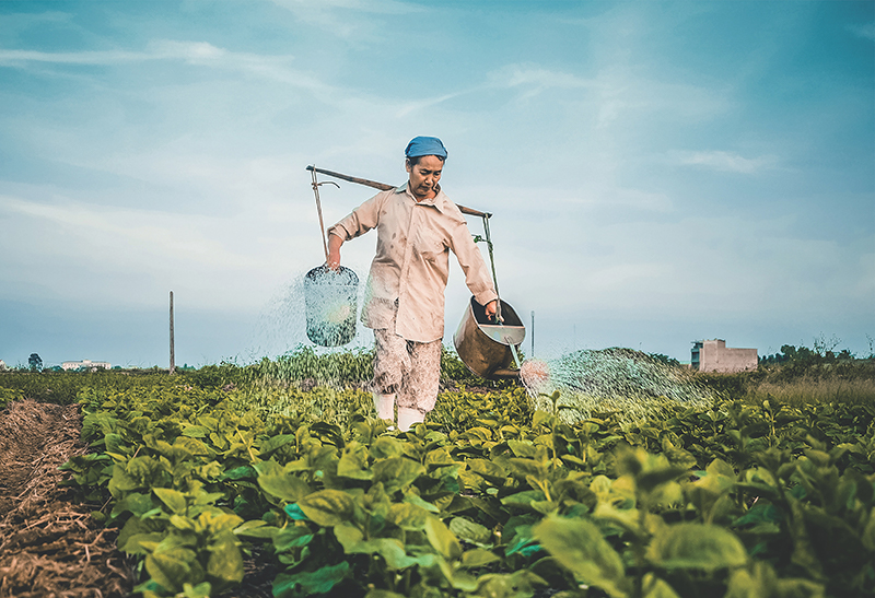 Trophées Femmes Stop Hunger 2019 : appel à candidatures